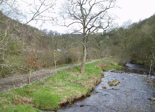 A woodland path close to the centre of Hebden Bridge