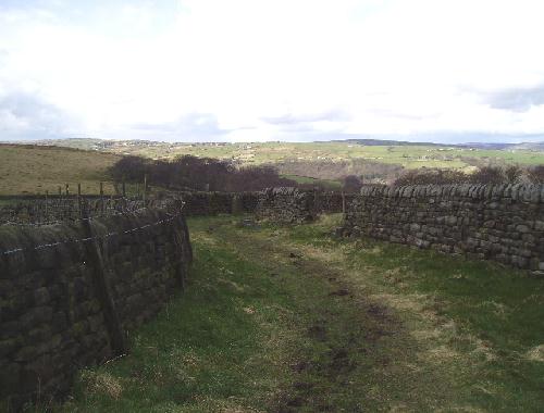 An old section of Pinnacle Lane