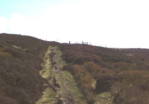 Gateway to the moors