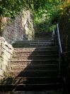 380 Hb cuckoo steps
