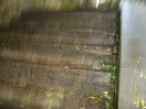 802 blurred steps. niki._r1_r1