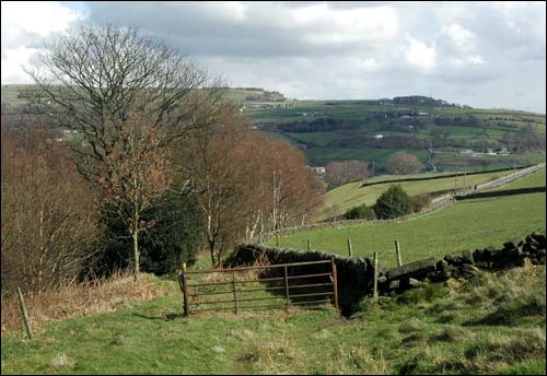 Above Scout Rock